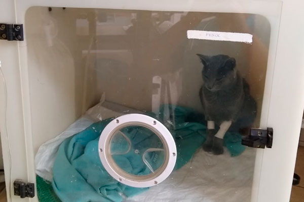 Unidad de cuidados intensivos