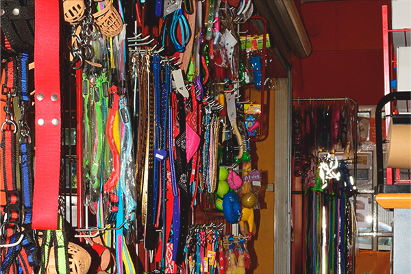 Accesorios para Mascotas