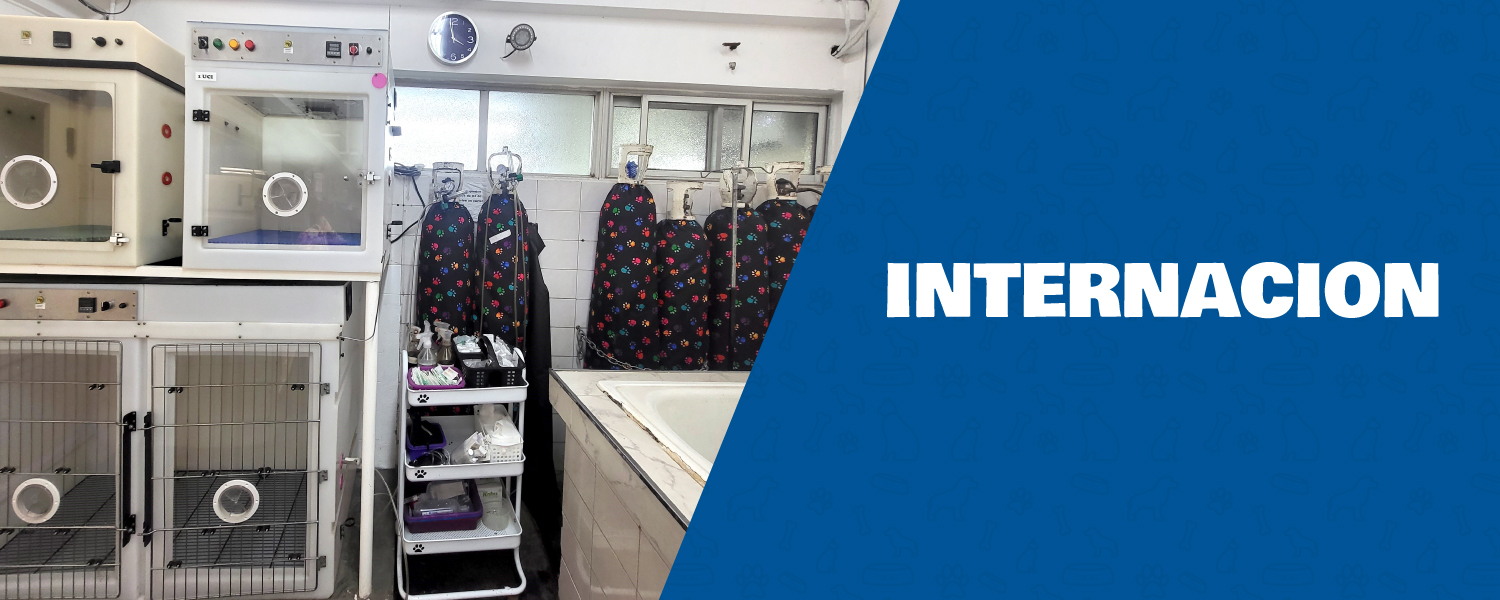 Servicio de Ambulancia