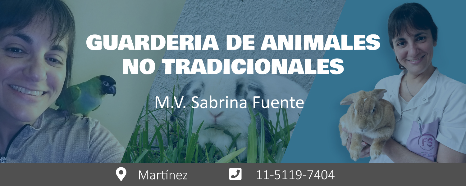 Guarderia animales no tradicionales